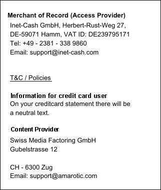 access provider/ content provider